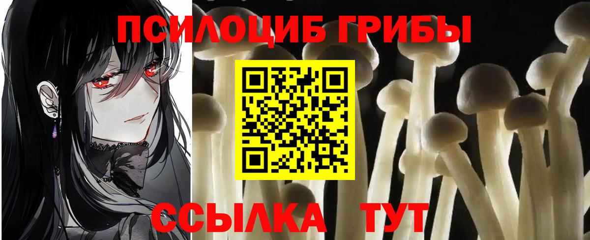 Нерюнгри  где найти   Псилоцибиновые грибы Cubensis  Вход с VPN  Псилоцибиновые грибы Magic Shrooms 